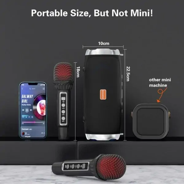 BONAOK Karaoke Machine for Adult Kids, Portable Bluetooth Speaker with 2 Wireless Microphones, Singing Karaoke Player for Birthday Gift Party Family Supports TWS/Bluetooth/TF/AUX/USB(T-15,Black) - Image 8